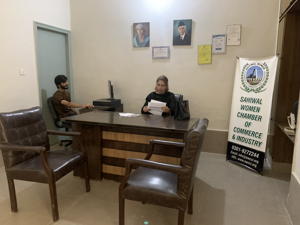 Elections 2024-2026 Working